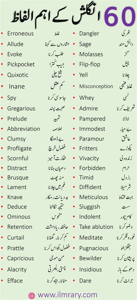 everyone meaning in urdu